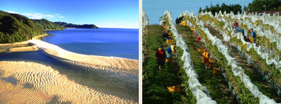 Abel Tasman beaches